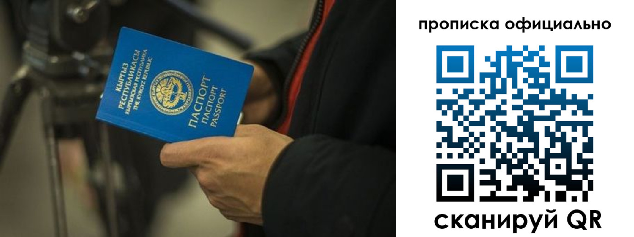 прописка в Пестово